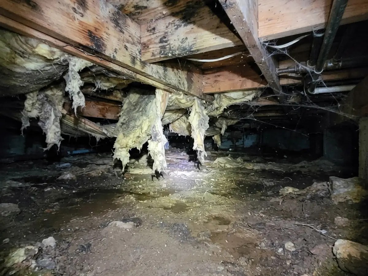 Damp dirt-floor crawl space with water-stained joists, mold growth, and sagging insulation